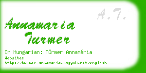 annamaria turmer business card
